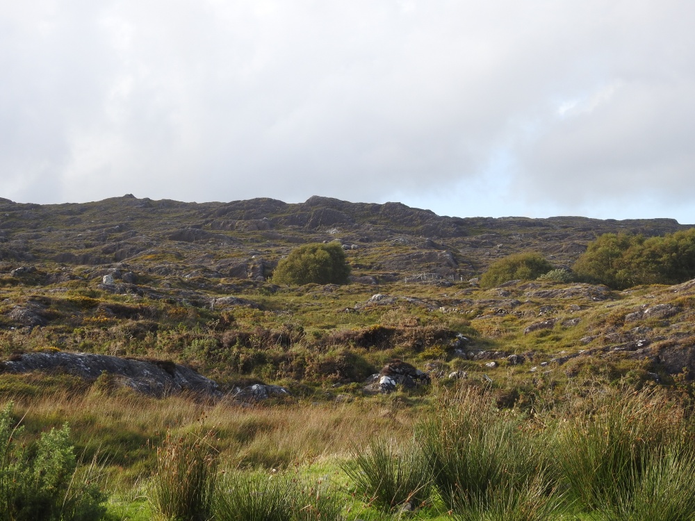 Bocarnagh, Cork, Glengarriff